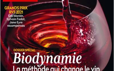 Le P’tit gaby in the French wine review